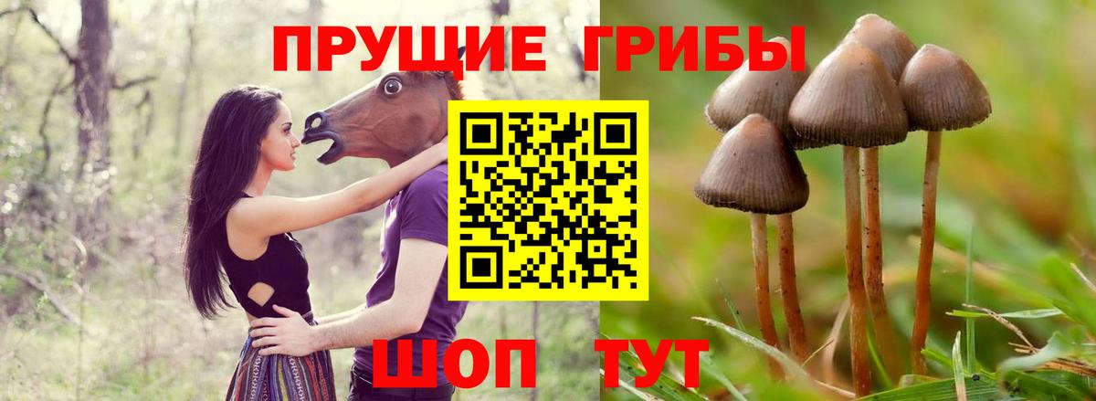 Североуральск  Галлюциногенные грибы MAGIC MUSHROOMS  Вход с VPN 